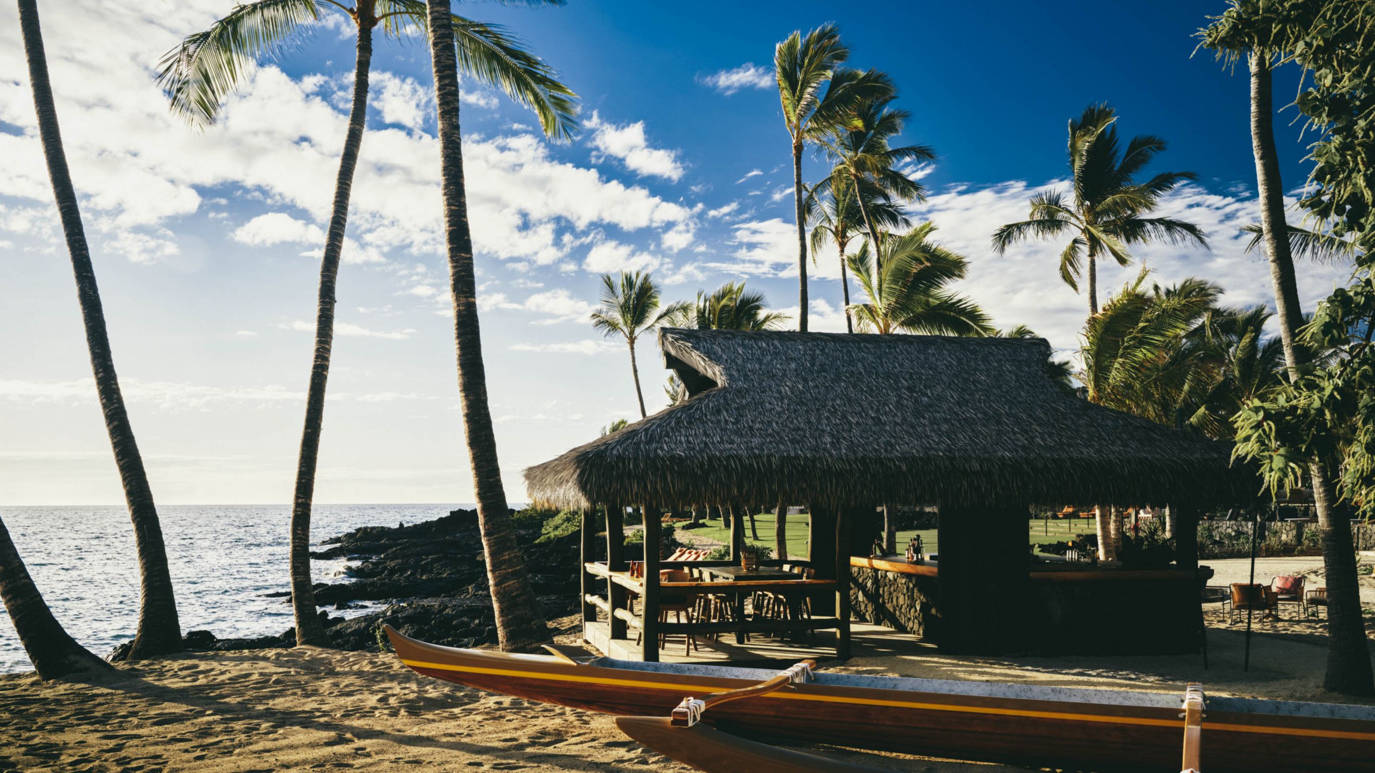 A beachside bar with a thatched roof surrounded by palm trees and canoes.